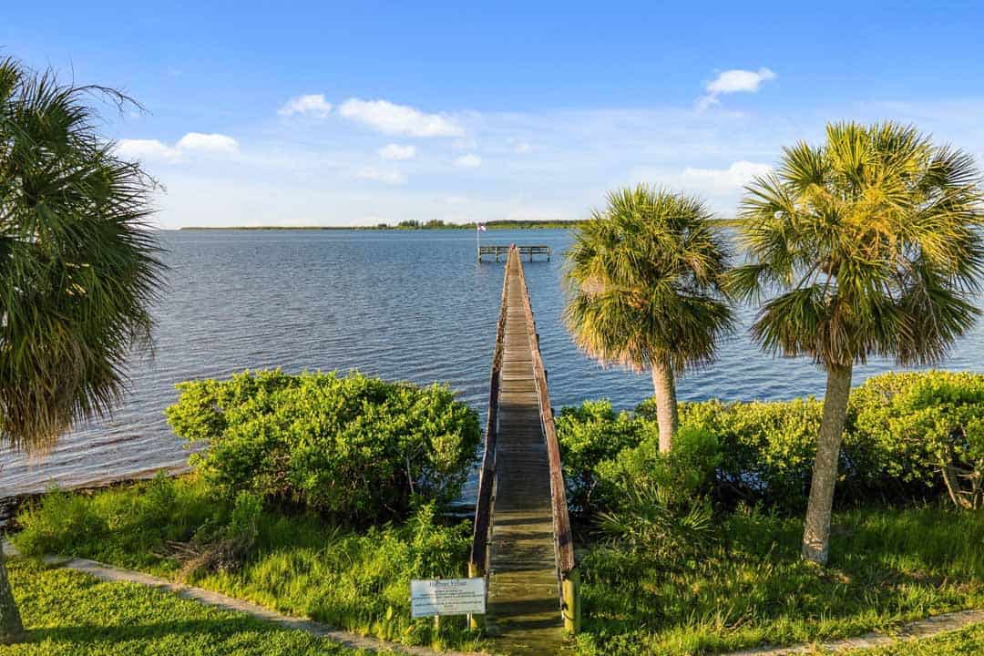 Wooden dock extending into a calm lake surrounded by lush greenery and palm trees under a clear blue sky.