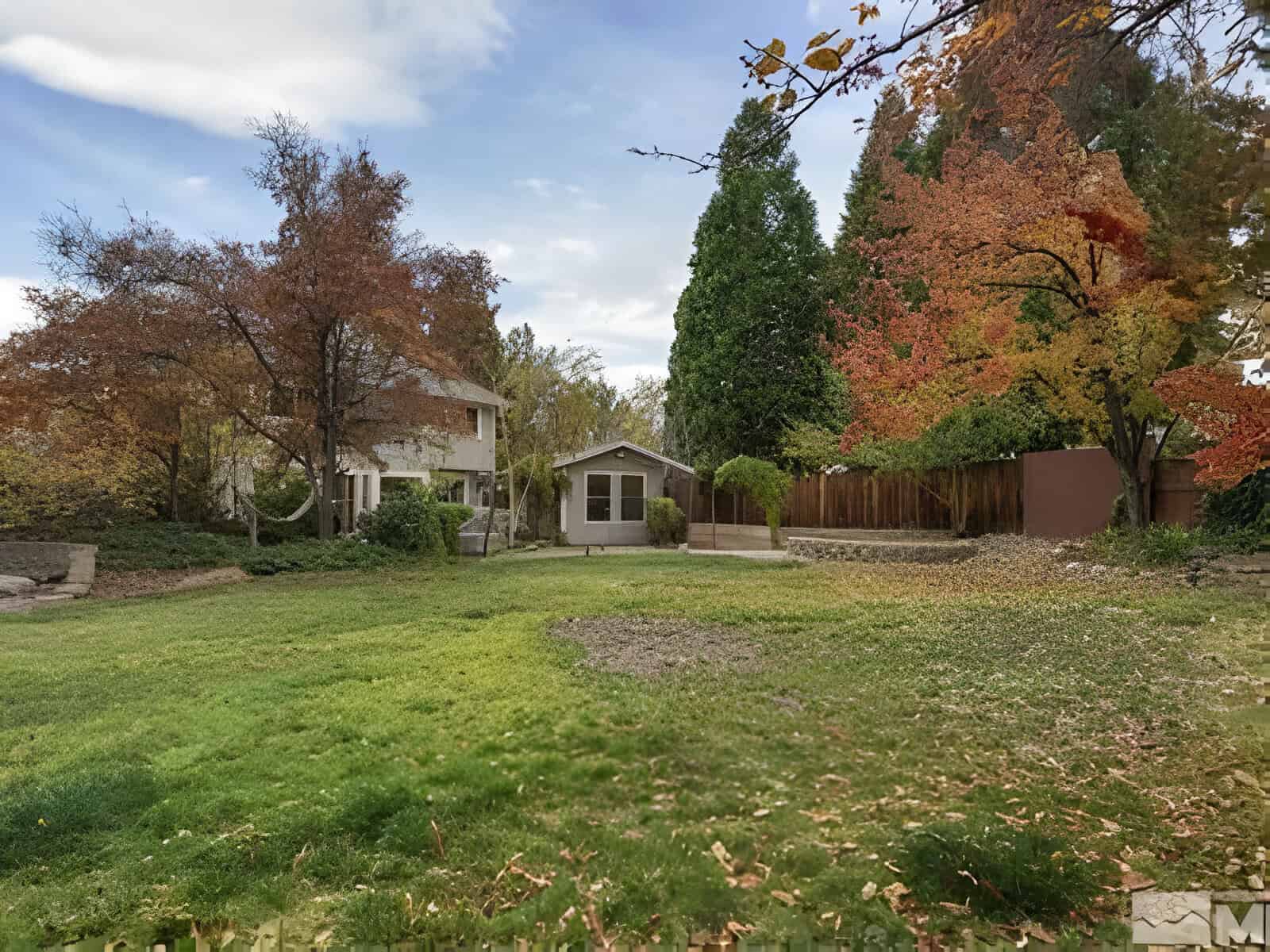 A backyard with green grass, a small tree, and a wooden fence, surrounded by trees with autumn foliage. A house and a smaller building are in the background.