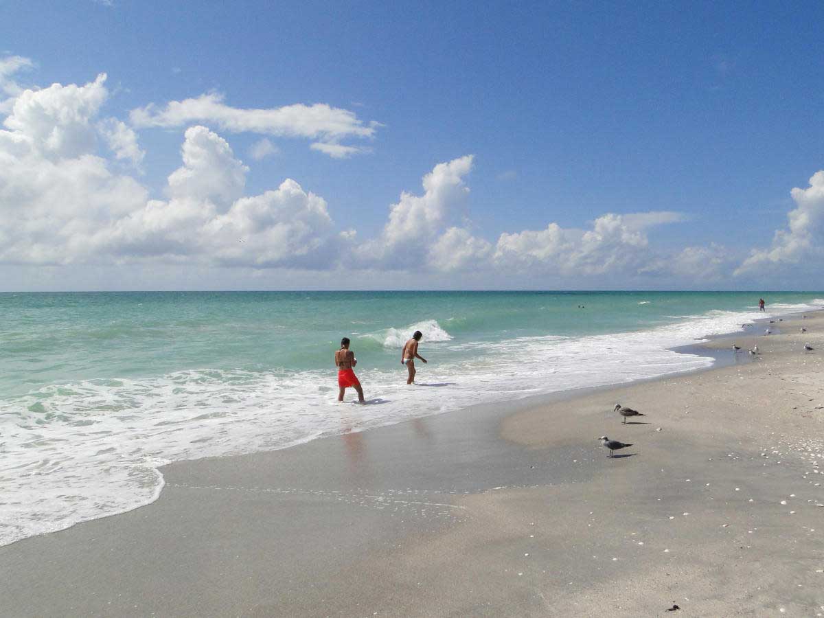 A group of people are walking on an Englewood beach.